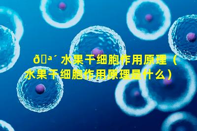 🪴 水果干细胞作用原理（水果干细胞作用原理是什么）